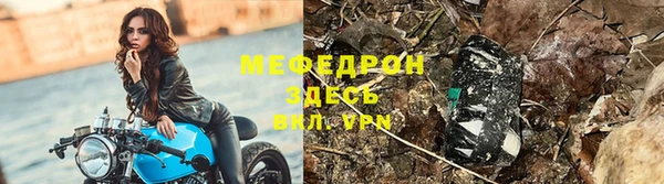 сатива Арсеньев