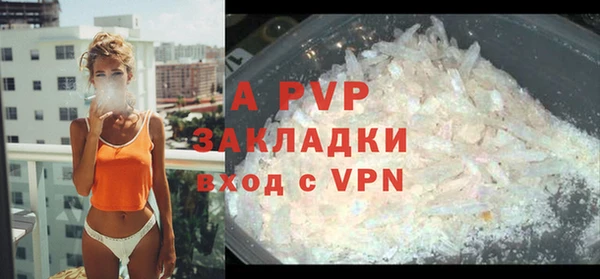 сатива Арсеньев